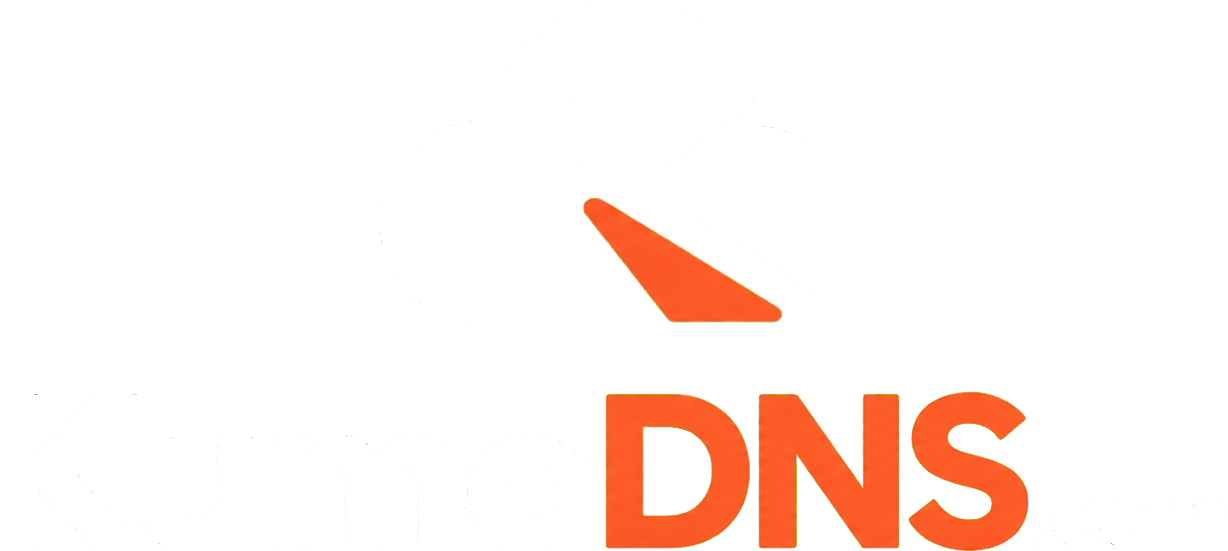 KumoDNS